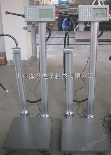 广州液化气充装管理系统电子秤,广州60kg充装电子称价格