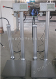 TCS广州液化气充装管理系统电子秤,广州60kg充装电子称价格