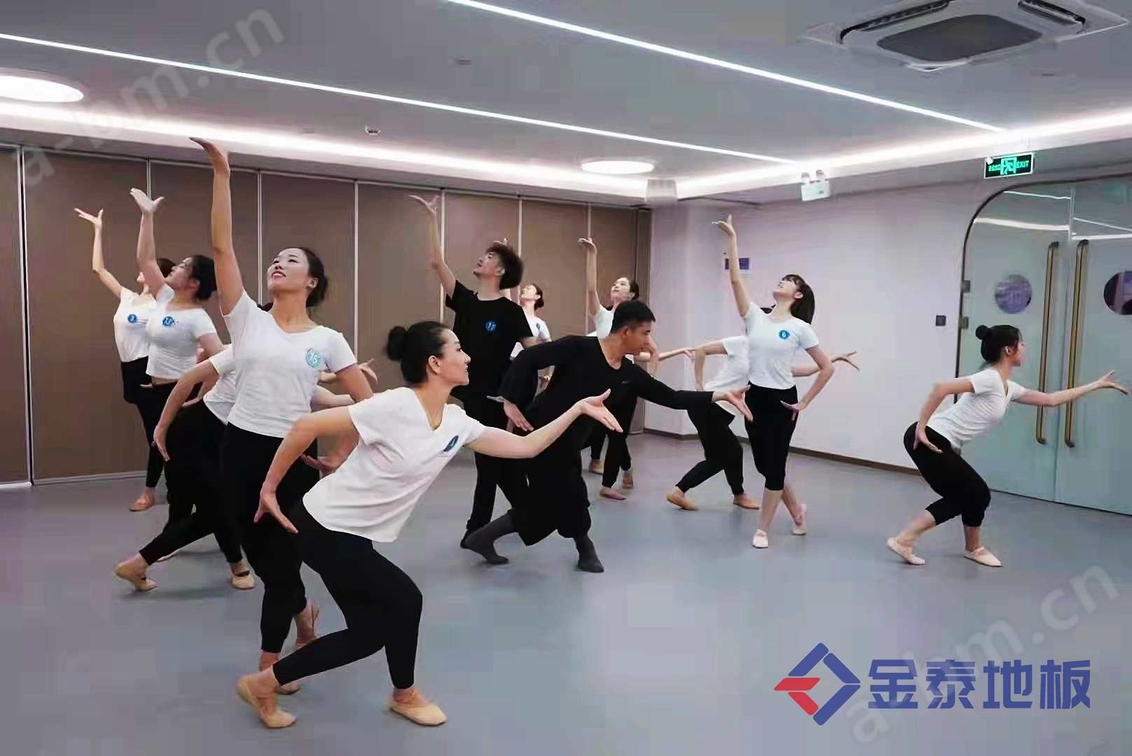 供应济南舞蹈PVC地板