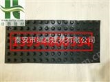 常规惠州车库塑料排水板梅州三维植被网